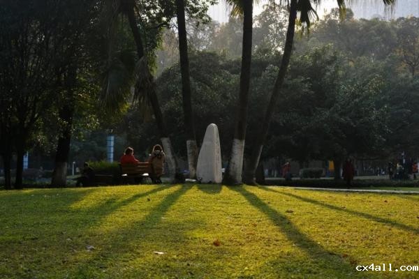 GPA3.93，年级前1%，放弃保研，拿下美国名校全奖直博……我电这位女学霸只给自己的大学生活打8.5分！？