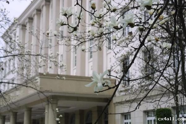 帅爆了！大二应征入伍，走过南闯过北，天安门前踢过腿！