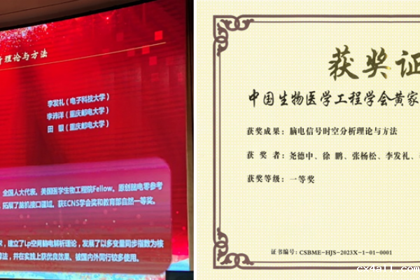 学校脑器交互团队研究成果获“黄家驷生物医学工程奖”一等奖