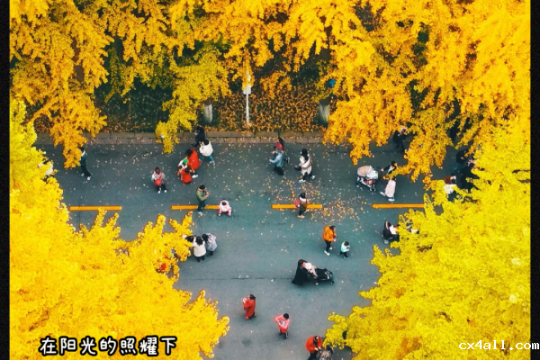 时节走到了冬，我电却留住了秋