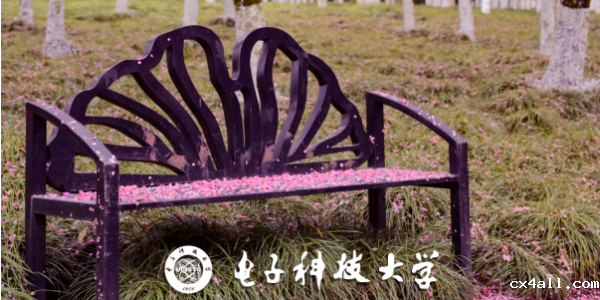 在成电校园 收集春天的味道